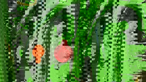 로드센싱 유압시스템 V1