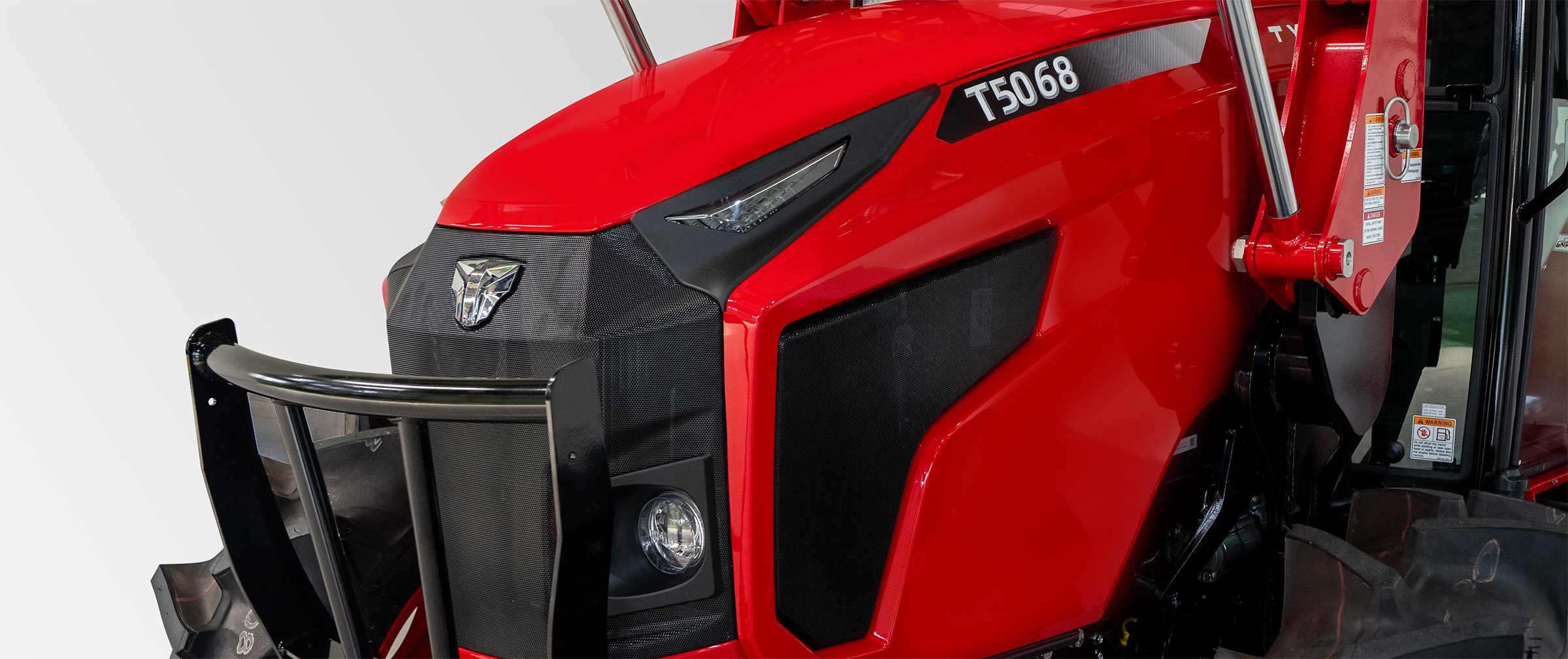 1. Tiger‑Gesichtsfrontpartie