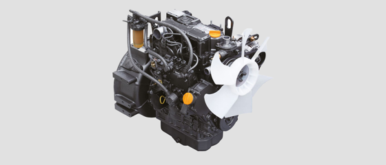 T25 Usp 1