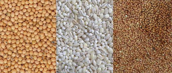 TYM Grains Image V4